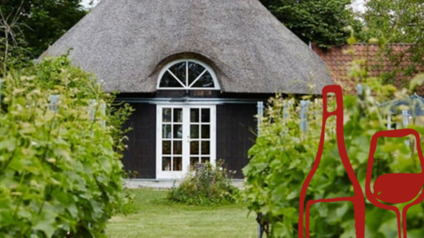 skaarupøre vingård