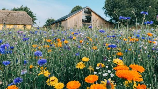 Stakladen, Svendborg - møder og konferencer