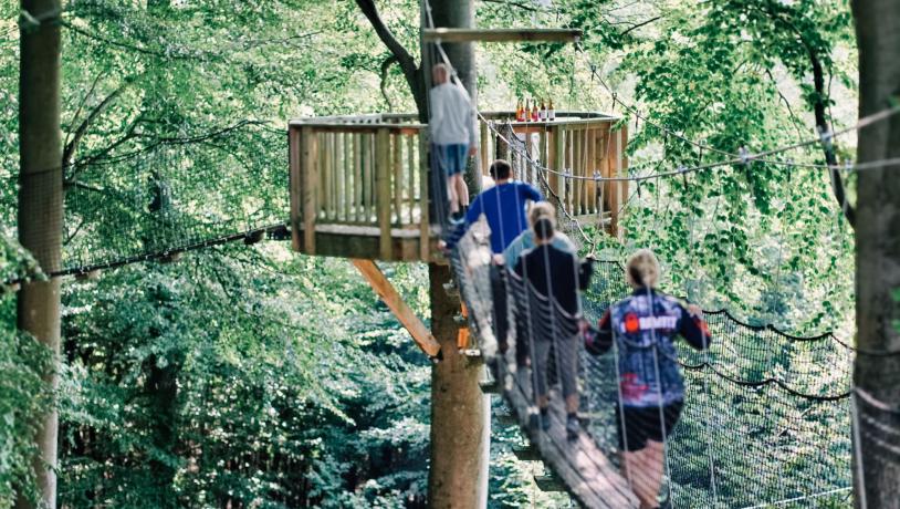 Teambuilding i Svendborg med Tasting in the tree tops