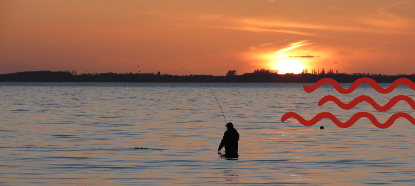 Fisker, Sommer ved Sundet, Svendborg