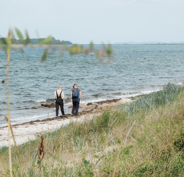 Vandring på Drejø ved Svendborg