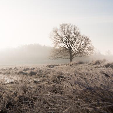 Vinter i Svendborg